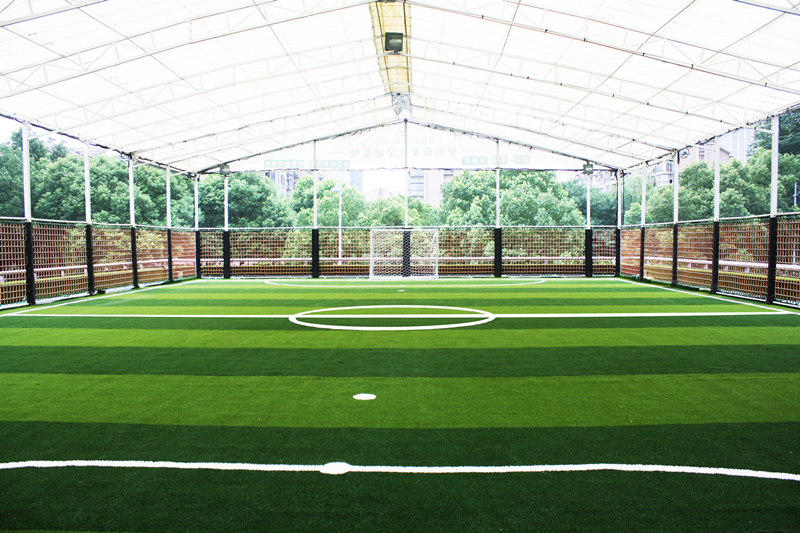 ��ʽ����