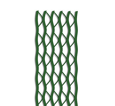 ������˿