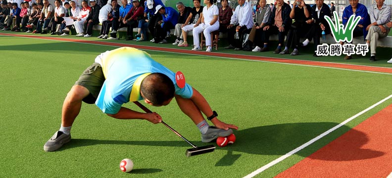 ���������ƺ