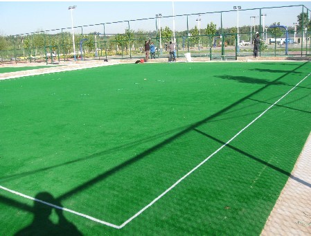 �����ƺ����