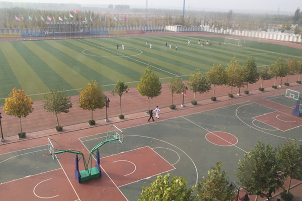 ��ɽ��������Ӣ�ź��ѧУ