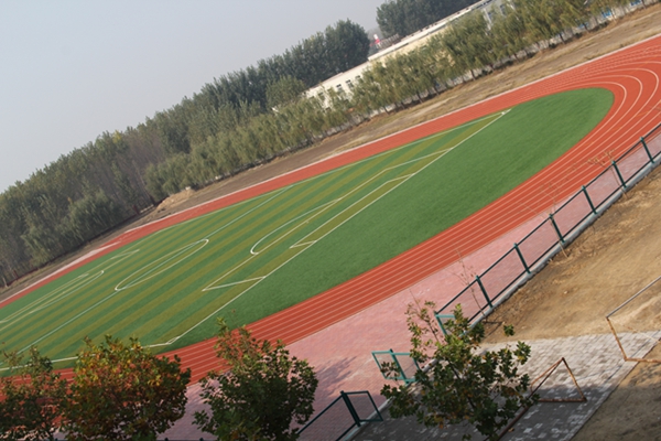 �����غ���ׯ������ѧ�ܽ��ٳ�