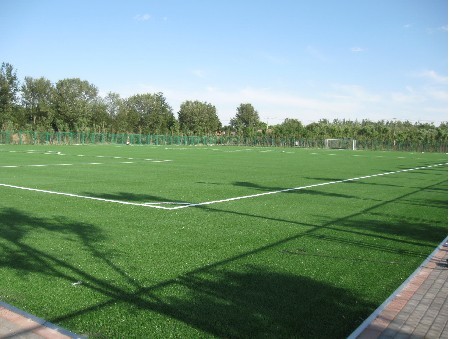 �����ƺ����