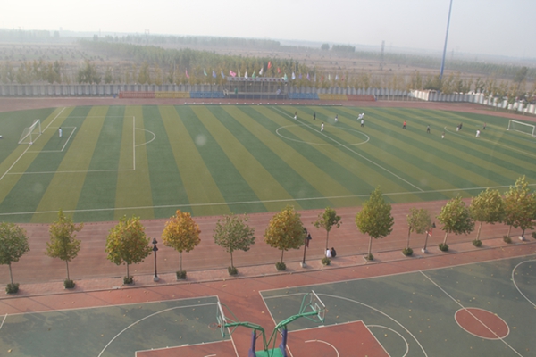 �ܽ�����