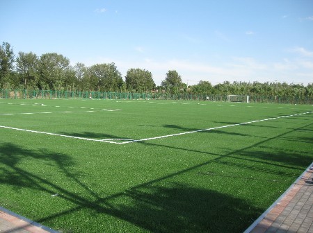 �����ƺ����