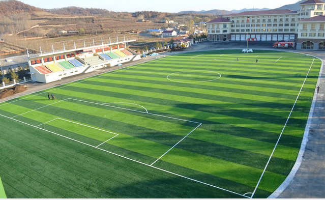 �����ƺ����