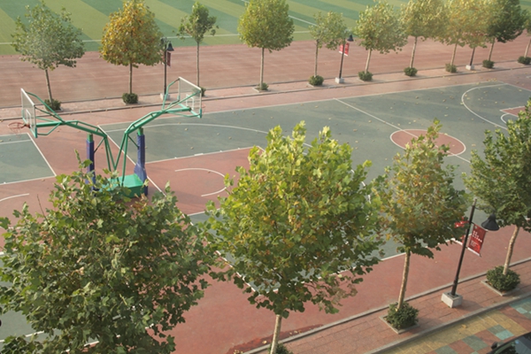 �ܽ�����