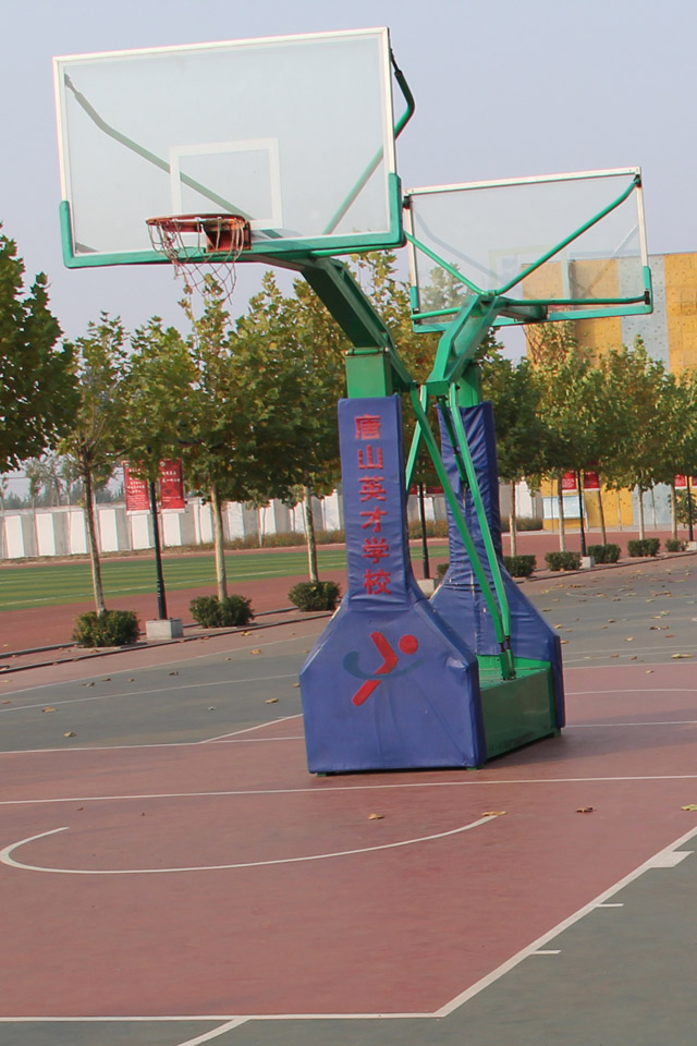 GYTY-A010����ʽ�ƶ������