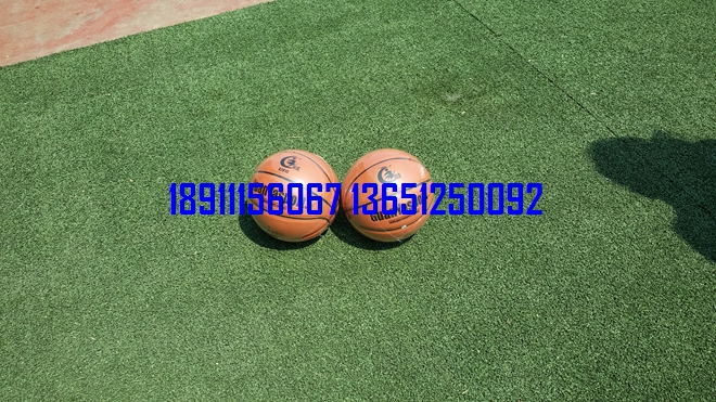 ����С������������