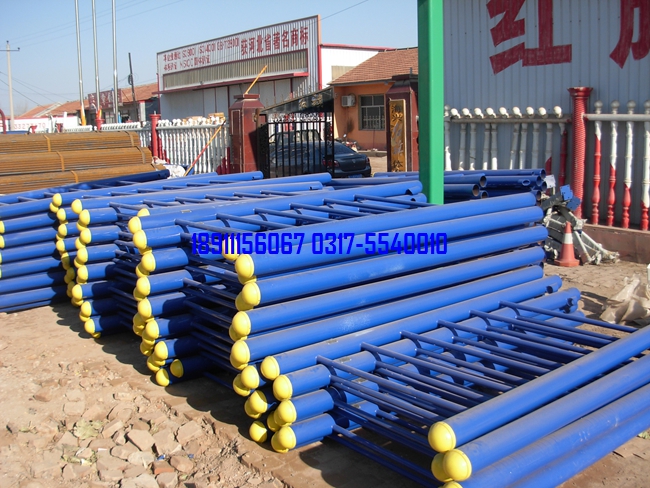 ������ľ��˫����ľ