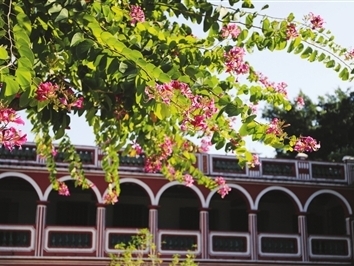 ������ɽ����Ʒ���������