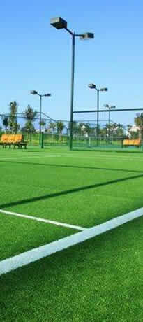 �����ƺ����