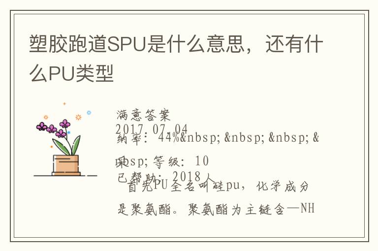 �ܽ��ܵ�SPU��ʲô��˼������ʲôPU����