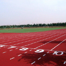 ����ɭ���� �ܽ��ܵ� **