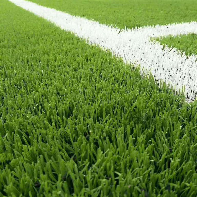 ʤ�� <a href= target=_blank class=infotextkey>�ܽ��ܵ�</a>����<a href= target=_blank class=infotextkey>�ܽ��ܵ�</a>