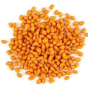 ����״��������ɫ