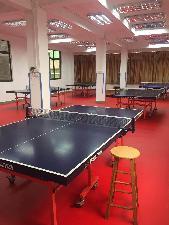 ���ƹ�����