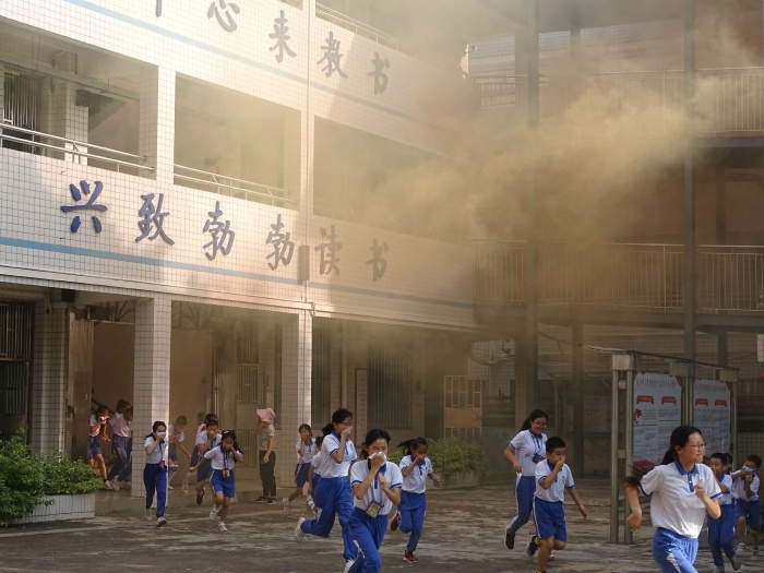 ����ΪȺ�ڰ�ʵ�¡��������ڶ�Сѧ��չ����Ӧ����ɢ����