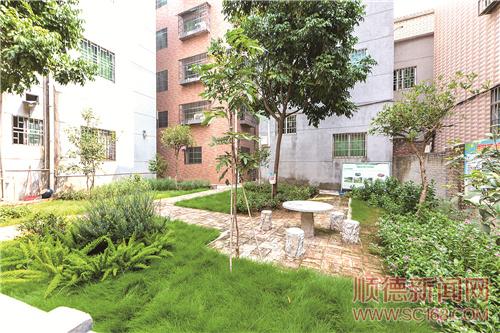 �á��廨���򡱴�����ɫ����С԰��