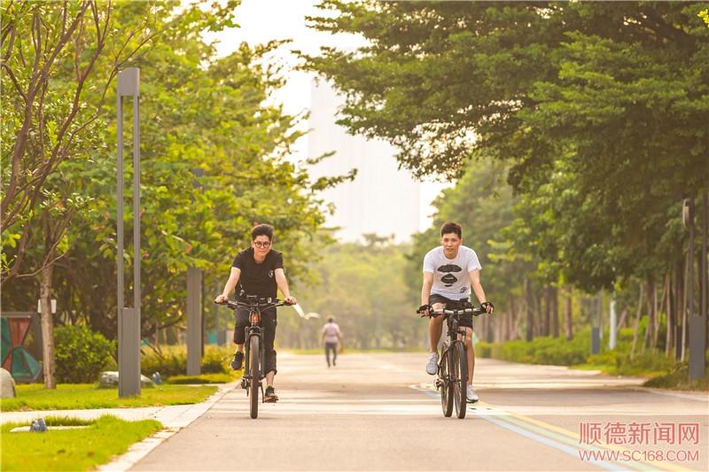 �½�����