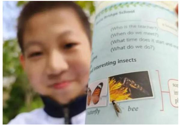 ������η������ѧ�����ֽ̿������������Ϻ�10��