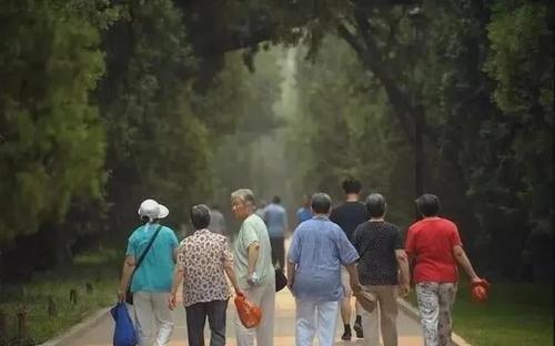 ������̥���ߡ����䡱���ô�������飺�������Ӿ��µ����Ͻ�