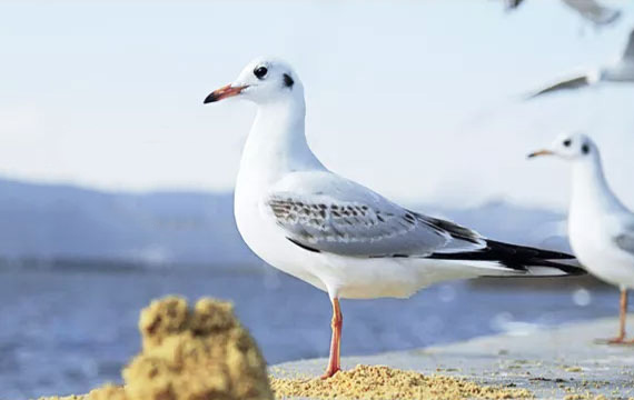 2022�괺��1000���������