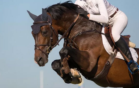 2016�걱��������������������