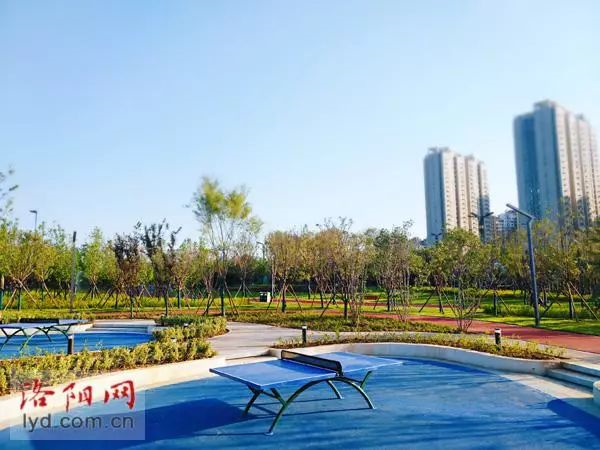 ������԰ƹ������