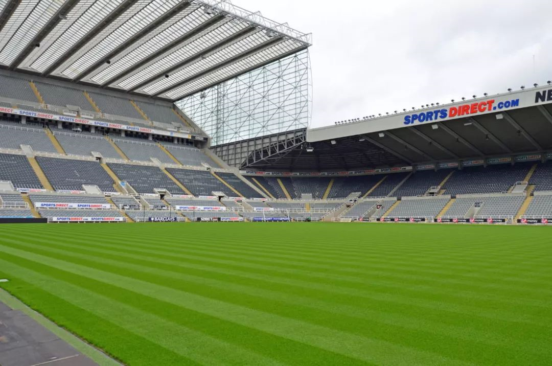 Ӣ������