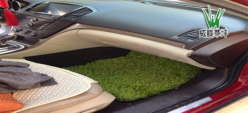 �����ƺ�����ŵ�