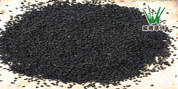 �𽺿���-�����ƺ�����