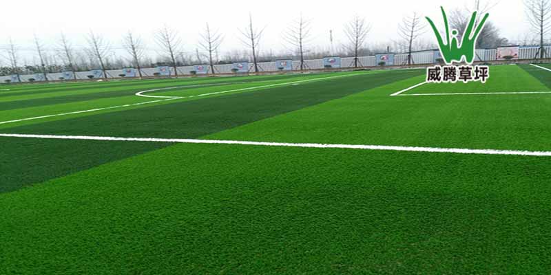 �����Ƥ���򳡡���������ѧУ��Ŀ