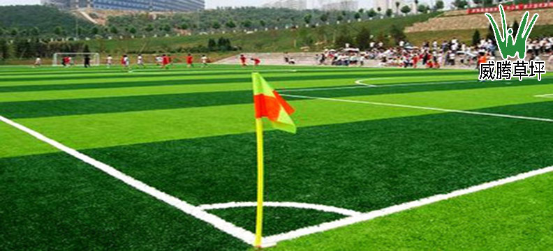 ���������ƺ����