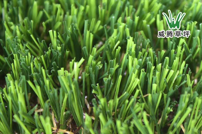 �����˹���ƺ