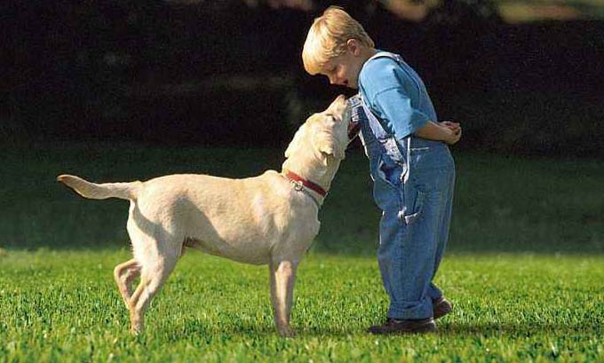 �����ƺ,���������ƺ,����������