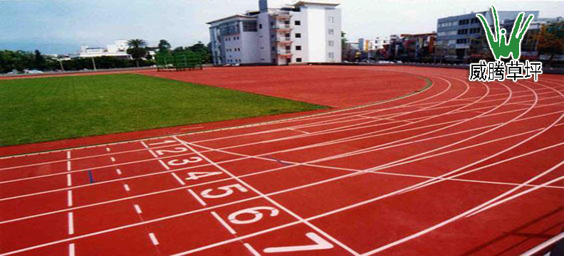 �����ƺ�ܵ�