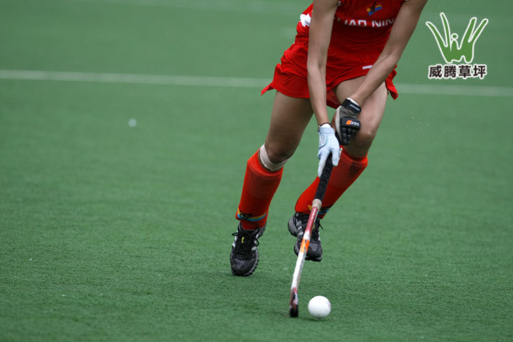 �����ƺ������-���������ƺ