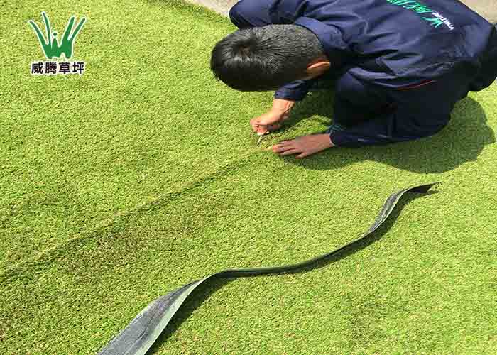 �����ƺʩ��