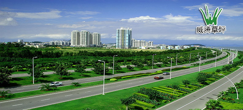 �����ƺ��·�̻�