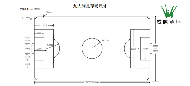 ���������򳡳ߴ�,����������