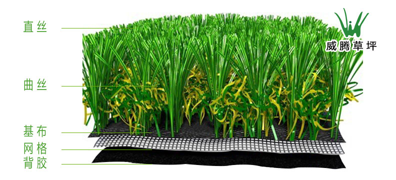 �����ƺ�ṹ