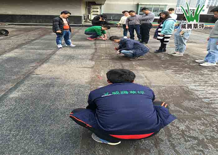 �����ƺʩ��-����