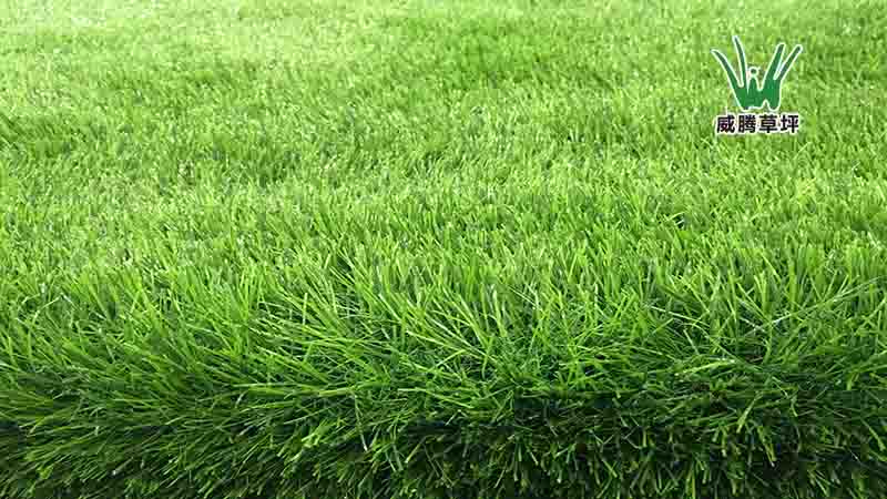 �����˹���ƺ