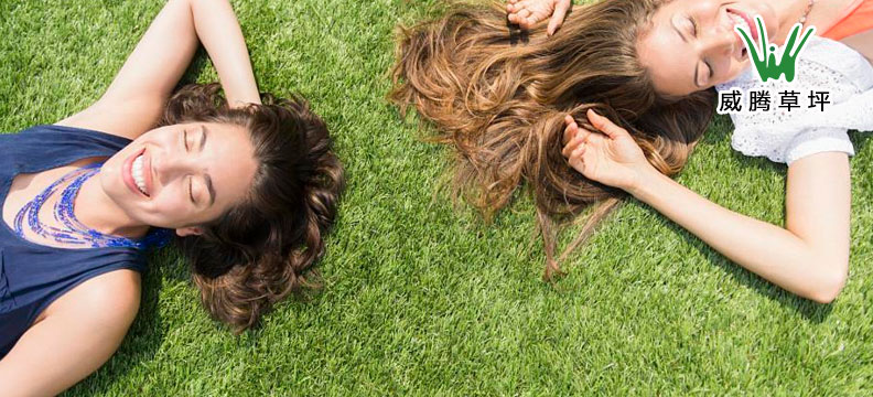 �����ƺ����