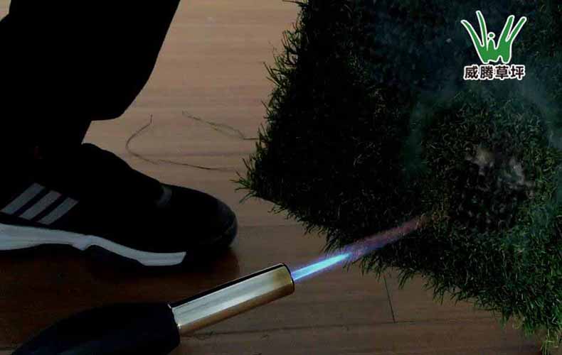 ��ȼ�����ƺ