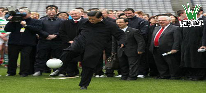 ϰ���������