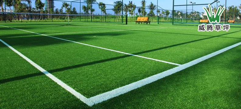 ���������ƺ