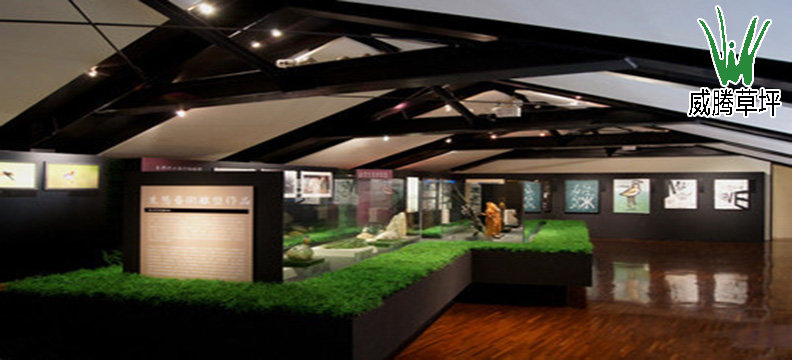 �����ƺ������װ��ͼƬ