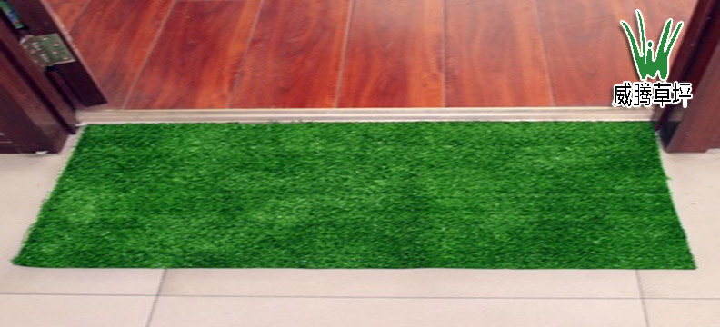 �����ƺ�ŵ��̺